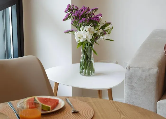 公寓 Joaquin Costa 桑坦德